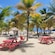 Picnic tables, lounge chairs and palm trees on a beach